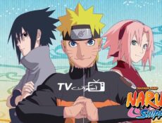 انمي ناروتو شيبودن Naruto: Shippuden الحلقة 427 مترجمة
