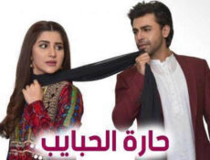 مسلسل حارة الحبايب الحلقة 6 السادسة مدبلج