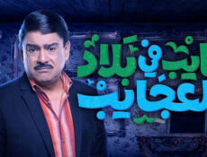 مسلسل غايب في بلاد العجايب الحلقة 25 الخامسة والعشرون