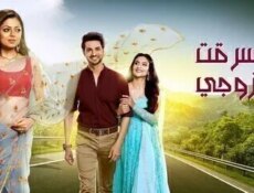 مسلسل سرقت زوجى الحلقة 5 الخامسة مدبلج