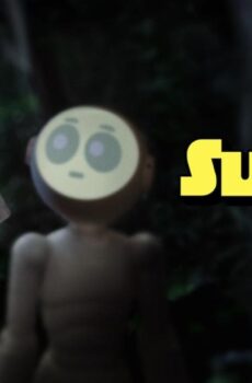 Sunny