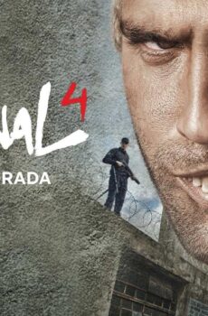 El Marginal الموسم 4