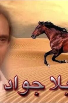 فارس بلا جواد