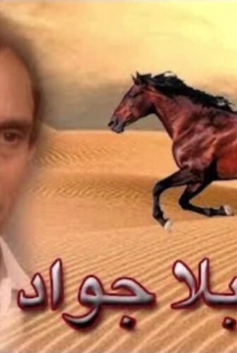 فارس بلا جواد