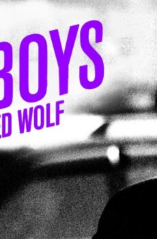 فيلم The Boys Who Cried Wolf 2015 مترجم