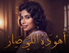 مسلسل أهو ده اللي صار الحلقة 17 السابعة عشر