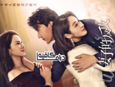 مسلسل Wife’s Revenge الحلقة 13 مترجمة
