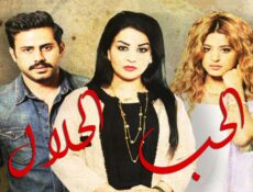 مسلسل الحب الحلال الحلقة 29 التاسعة والعشرون