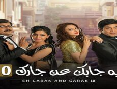 مسلسل ايه جابك عند جارك الموسم 10 الحلقة 19 التاسعة عشر مدبلجة
