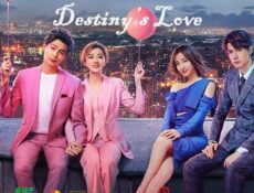 مسلسل Destiny’s Love الحلقة 21 الحادية والعشرون مترجمة