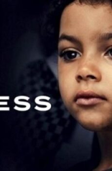 The Witness