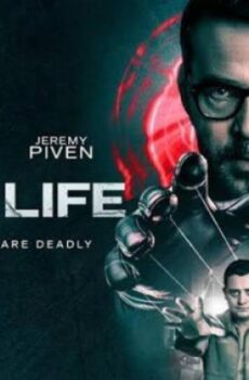 فيلم Past Life 2025 مترجم