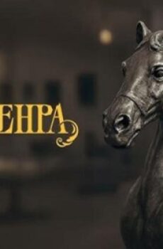 فيلم Cam Sehpa 2025 مترجم