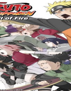 فيلم Gekijo Ban Naruto Shippuden Hi No Ishi Wo Tsugu Mono 2009 مترجم