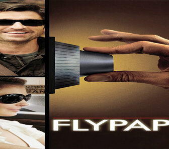 فيلم Flypaper 2011 مترجم