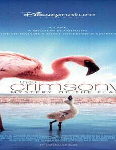 فيلم The Crimson Wing Mystery Of The Flamingos 2008 مترجم