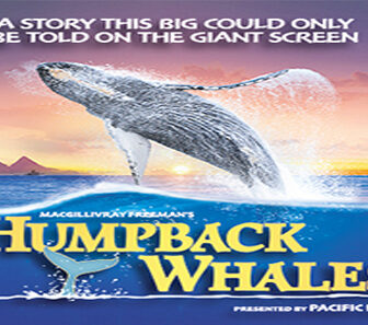 فيلم Humpback Whales 2015 مترجم