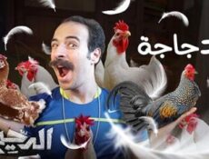 برنامج الدحيح الموسم 2 الحلقة 13 الثالثة عشر – الدجاجة
