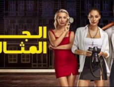 مسلسل الجار المثالى الحلقة 19 التاسعة عشر مدبلجة