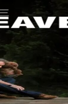 فيلم The Beaver 2011 مترجم