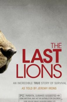 فيلم The Last Lions 2011 مترجم