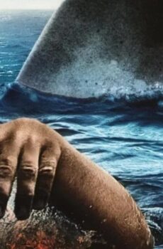 فيلم The Reef 2010 مترجم
