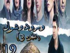 مسلسل ورد وشوك الموسم 3 الحلقة 19