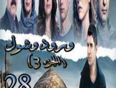 مسلسل ورد وشوك الموسم 3 الحلقة 28