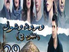 مسلسل ورد وشوك الموسم 3 الحلقة 29