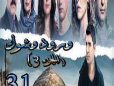 مسلسل ورد وشوك الموسم 3 الحلقة 31