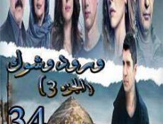 مسلسل ورد وشوك الموسم 3 الحلقة 34
