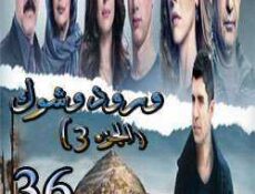 مسلسل ورد وشوك الموسم 3 الحلقة 36