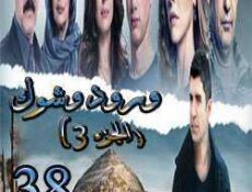 مسلسل ورد وشوك الموسم 3 الحلقة 38