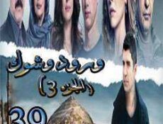 مسلسل ورد وشوك الموسم 3 الحلقة 39