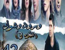 مسلسل ورد وشوك الموسم 3 الحلقة 42