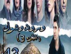 مسلسل ورد وشوك الموسم 3 الحلقة 43