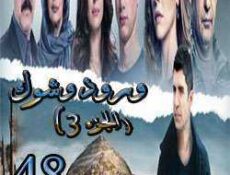 مسلسل ورد وشوك الموسم 3 الحلقة 48