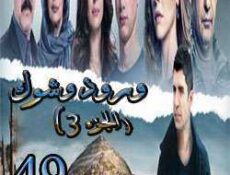 مسلسل ورد وشوك الموسم 3 الحلقة 49