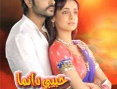 مسلسل حبيبي دائما الموسم 2 الحلقة 17