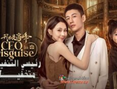 مسلسل رئيسي التنفيذي متخفياً My CEO in Disguise الحلقة 2 الثانية مترجمة
