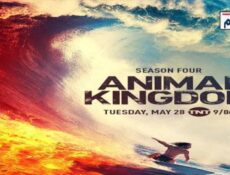 مسلسل Animal Kingdom الموسم 4 الحلقة 14 مترجم
