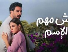 مسلسل مش مهم الاسم الحلقة 17 السابعة عشر