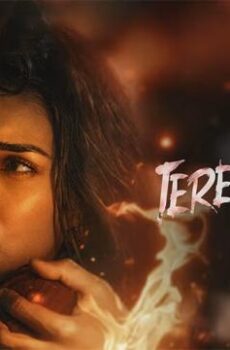 فيلم الرومانسية Tere Ishk Mein 2025 مترجم