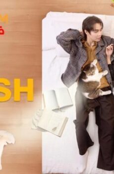 Cat for Cash