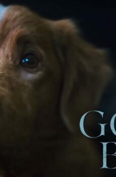 فيلم Good Boy 2025 مترجم (كلب مطيع)