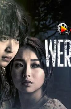 فيلم A Werewolf Boy 2026 مترجم