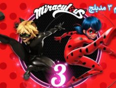 انمي الدعسوقة و القط الأسود الموسم 3 الحلقة 14 مدبلجة