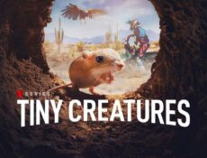 مسلسل Tiny Creatures الحلقة 2 الثانية مترجمة