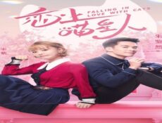 مسلسل الوقوع في حب القطط الحلقة 13 مترجمة