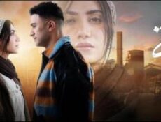 مسلسل قصة الحلقة 21 الحادية والعشرون